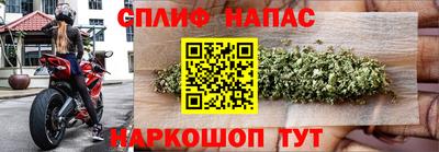 бошки Будённовск