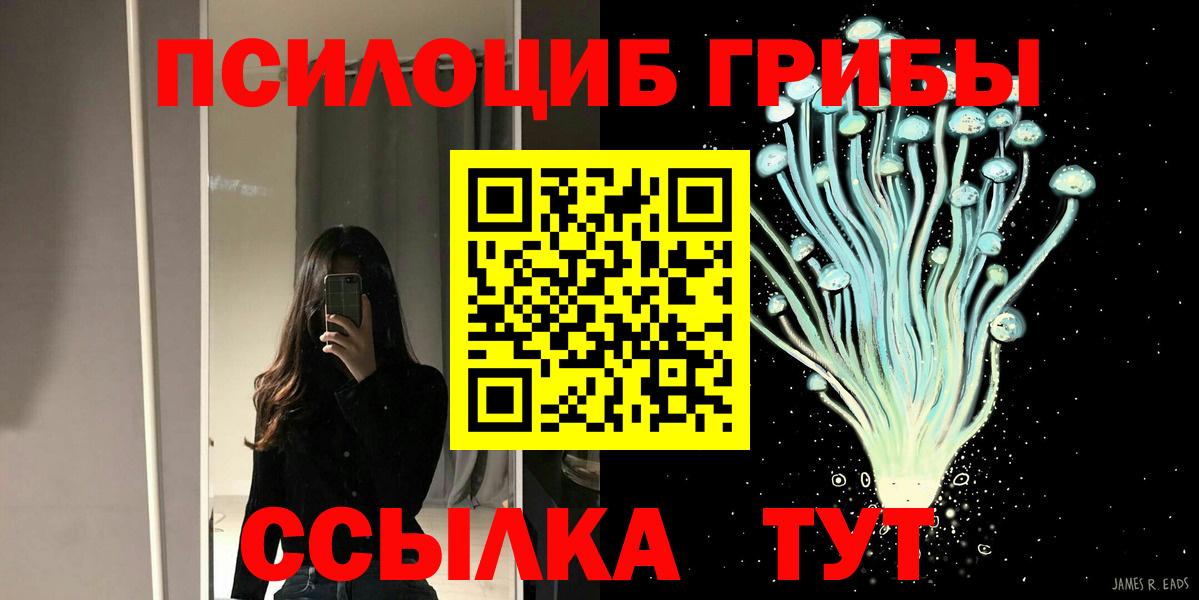 Псилоцибиновые грибы MAGIC MUSHROOMS  Вход с VPN  Черемхово 